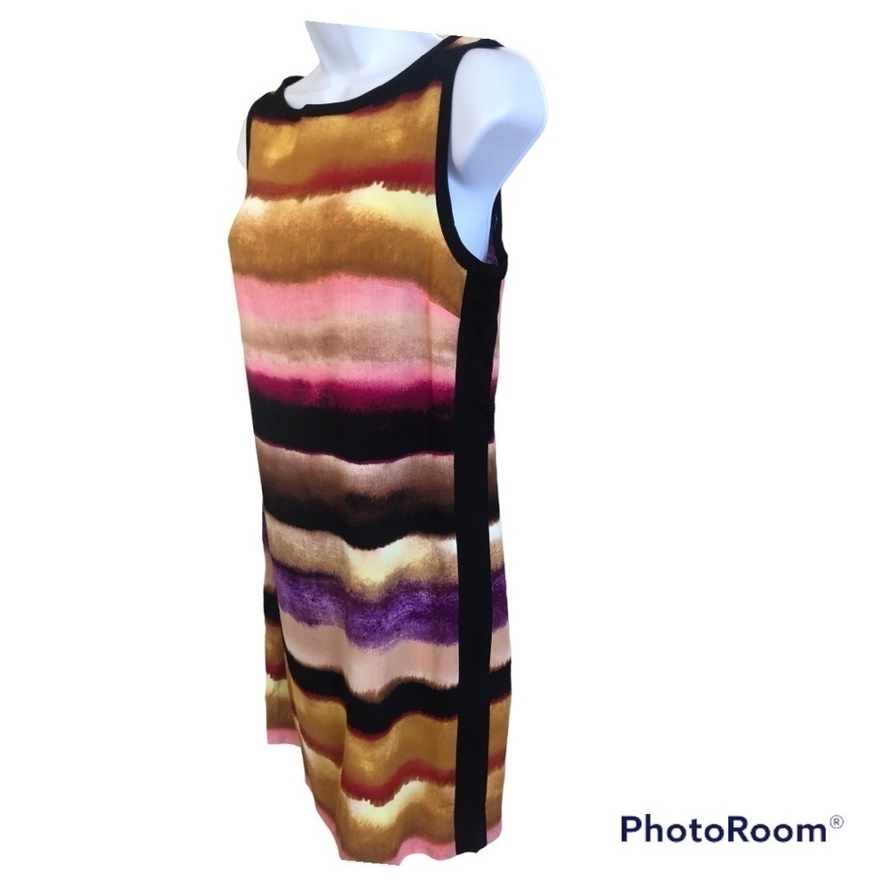 Ann Taylor Women’s Watercolors Stripes Sleeveless Shift Dress Size 4 - Picture 3 of 12